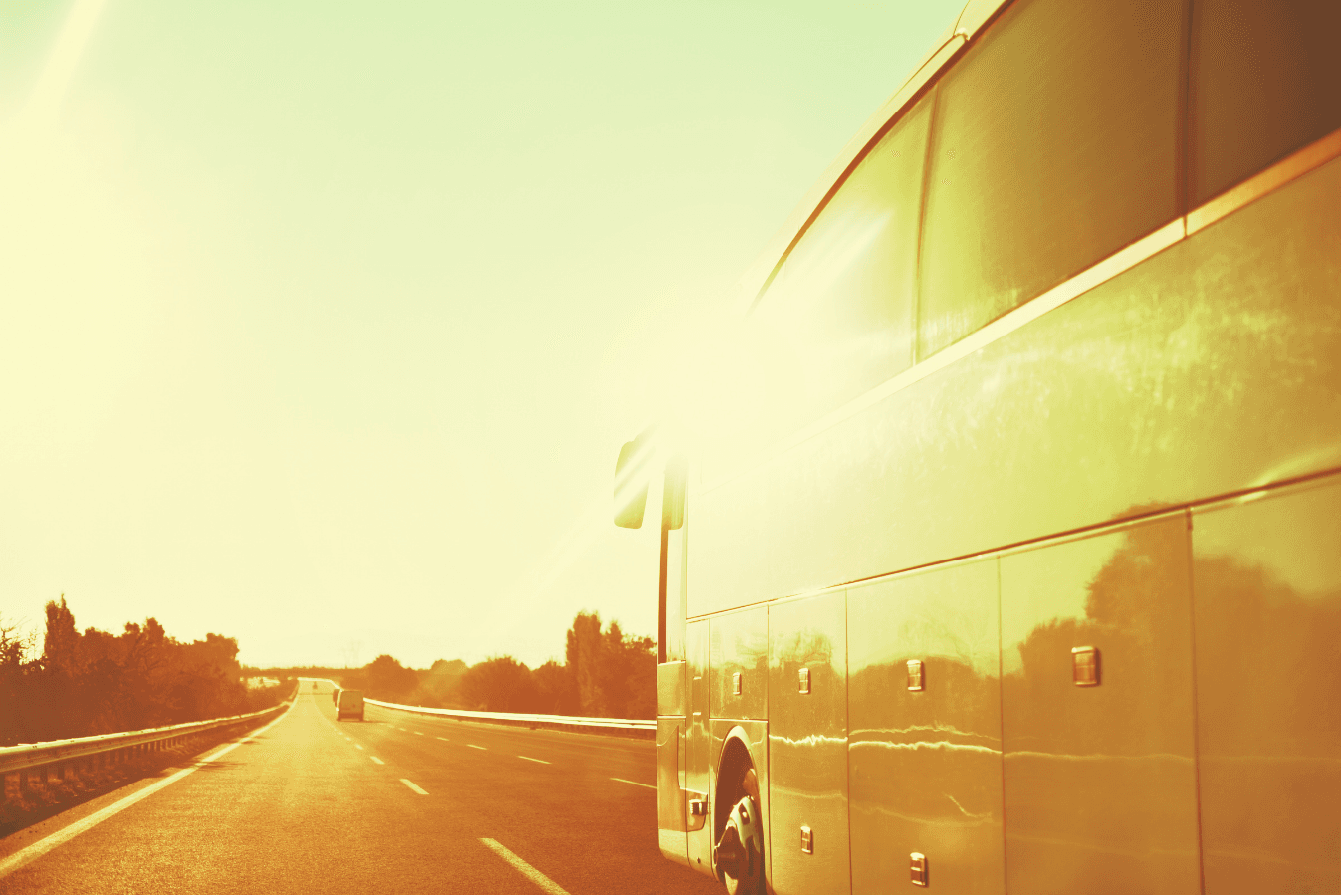 buss